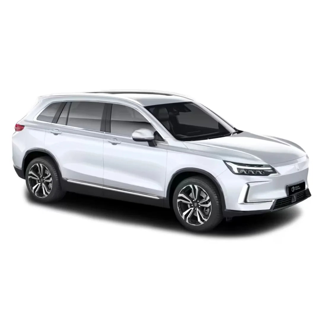 Skywell BE 11 electric car price in Nepal