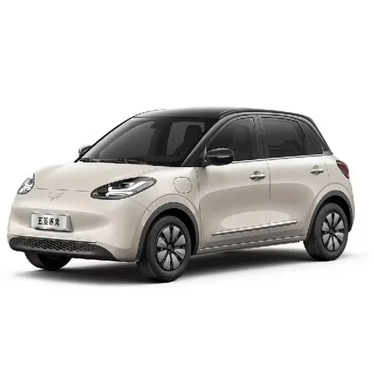 Wuling Binguo electric car price in Nepal